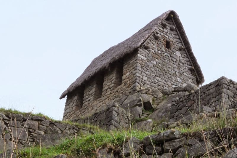 Guardian's House Guardian's House