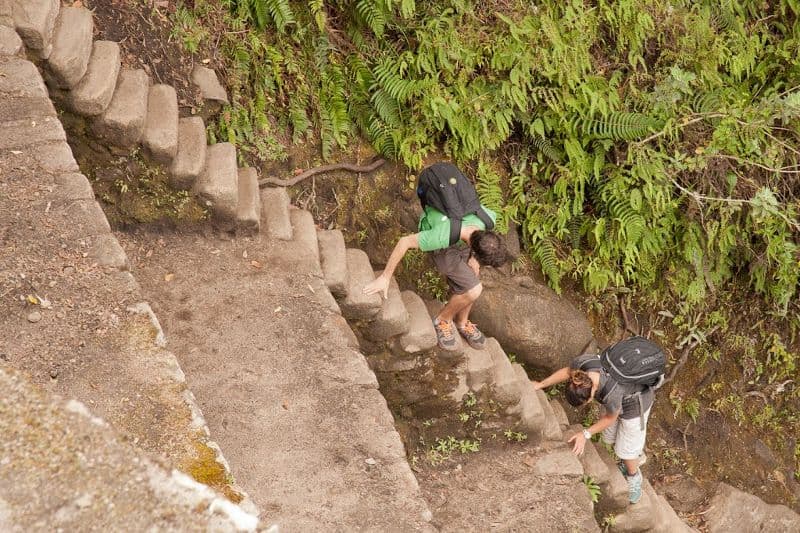Steep roads to WaynaPicchu Steep roads to WaynaPicchu